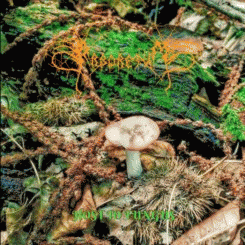 Arboretum : Host to Fungus